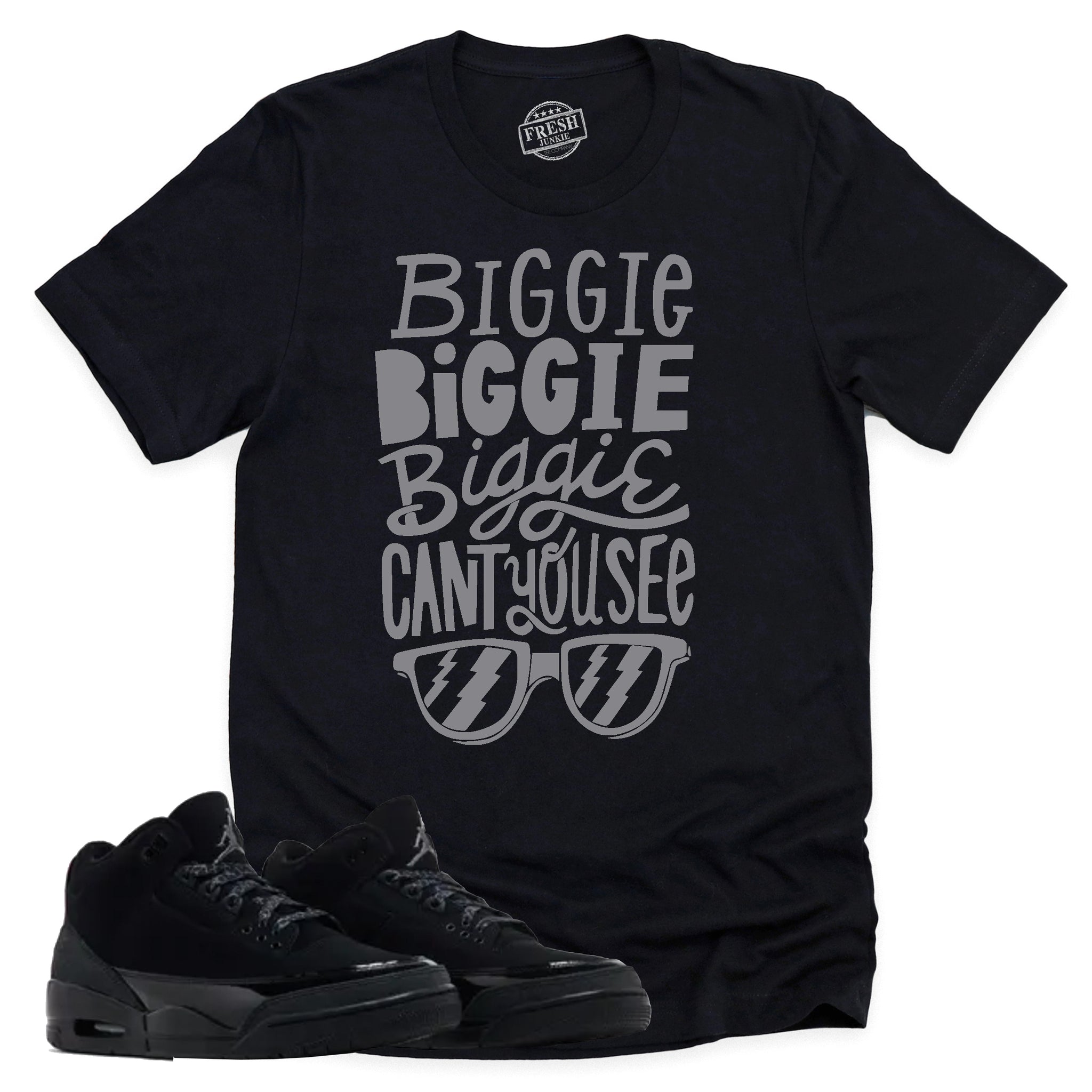 Can't You See Shirt, Retro Air Jordan 3 Black Cat Shirt Match Sneaker CT8532-001 T-Shirt, Sneaker Match Tee