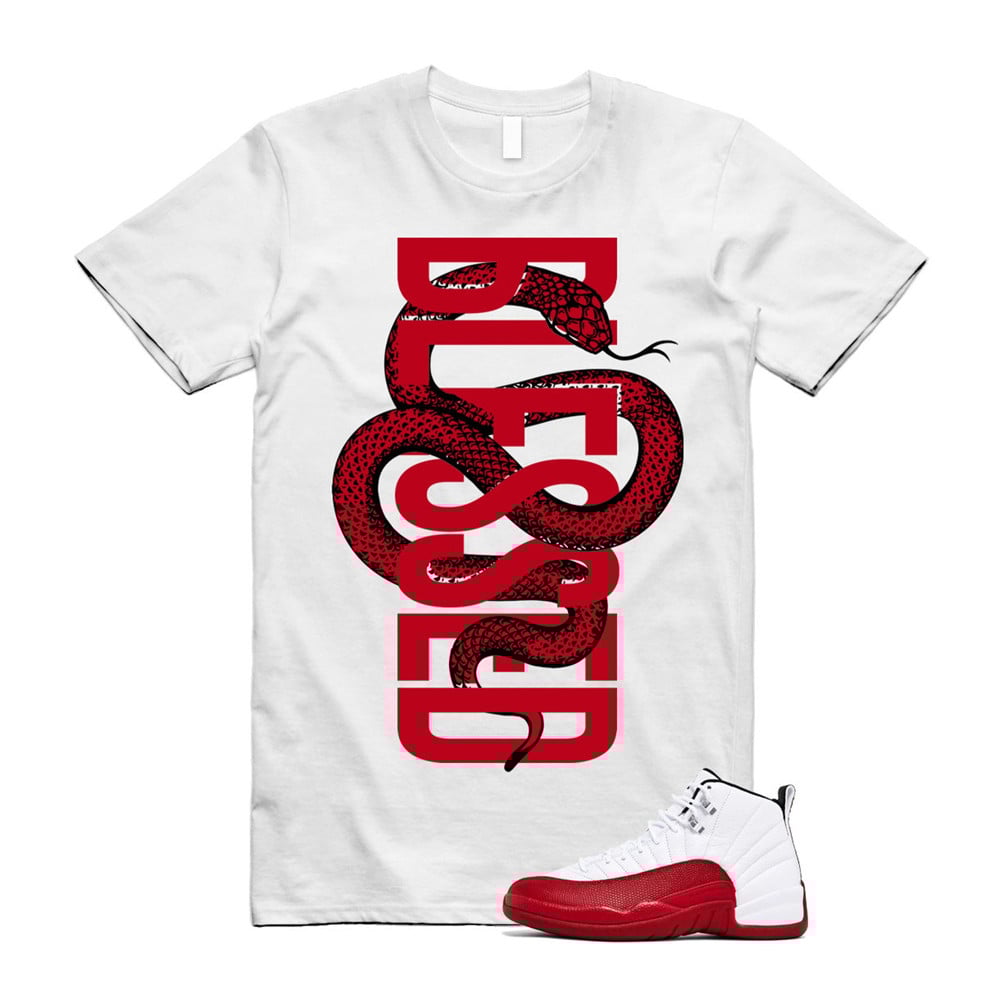 SNAKEBLS Shirt To Match Air Jordan 12 Cherry Red T-Shirt, Sneaker Match Tees