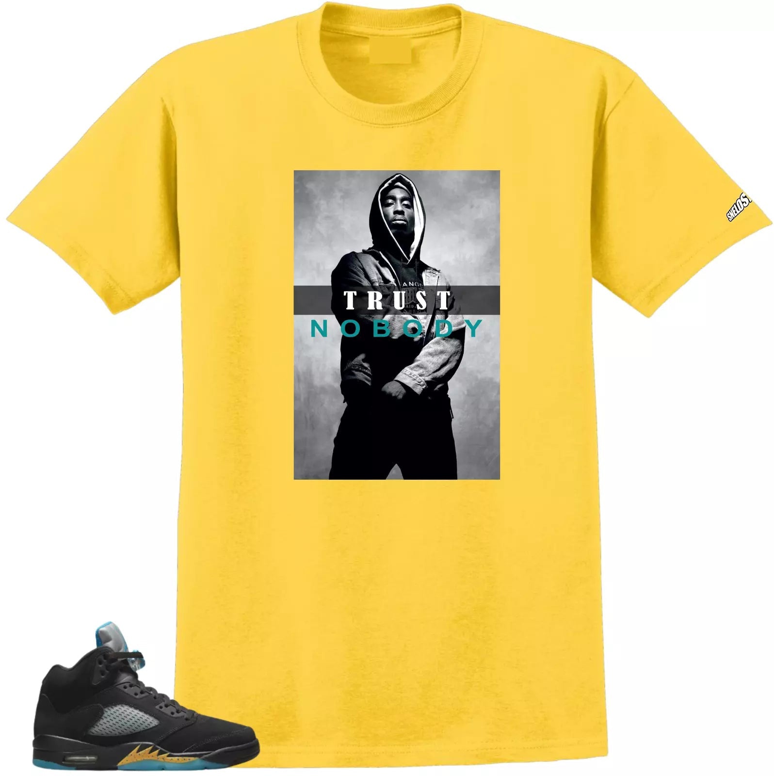 Shirt To Match Air Jordan Retro 5 Aqua TrustNo Body Air Sneaker Tees T-Shirt, Sneaker Match Tee