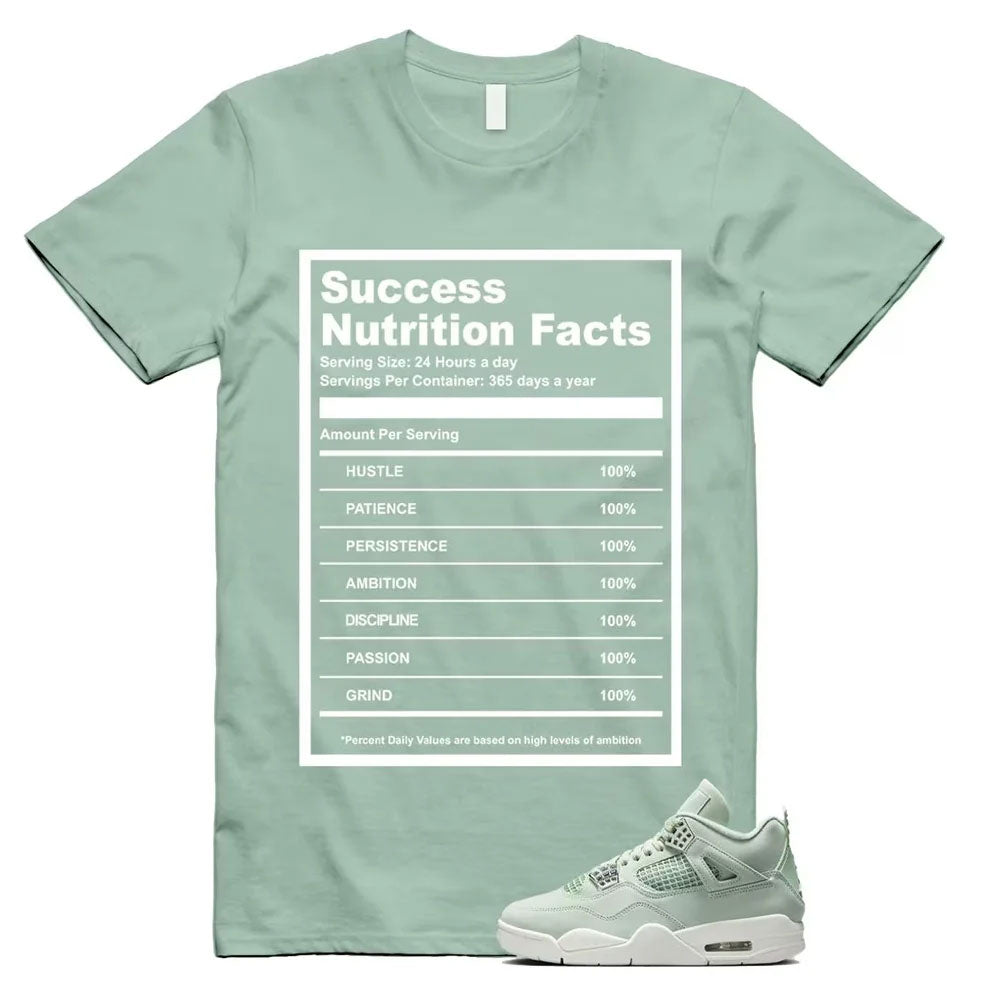 Air Jordan 4 Seafoam Shirt to Match Success Nutrition Facts HV0823-003 Match Sneaker Tee