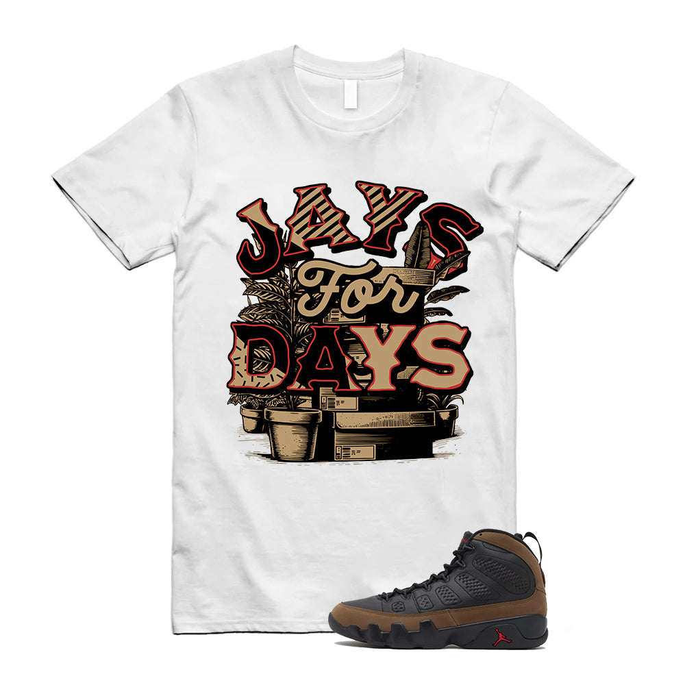 Air Jordan 9 Retro Olive Shirt To Match Stacked Sneaker White T-Shirt, HV4794-030 Match Sneaker Tee