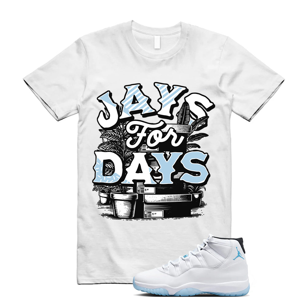 Air Jordan 11 Retro Legend Blue Shirt To Match Stacked Legend Blue White T-Shirt CT8012-104, Match Sneaker Tee