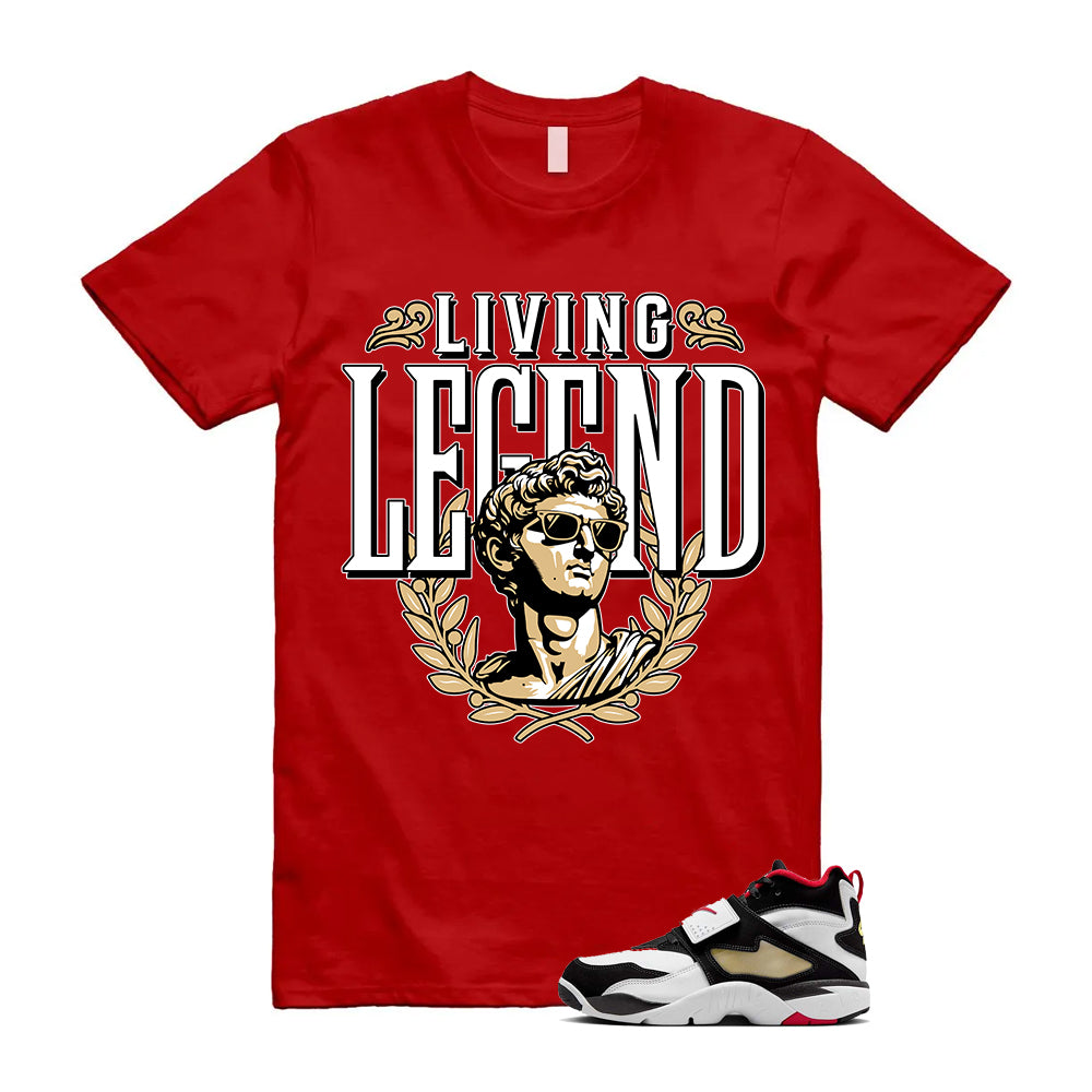 Air Diamond Turf OG Shirt To Match Legend Sneaker T-Shirt, FZ8224-100 Match Sneaker Tee