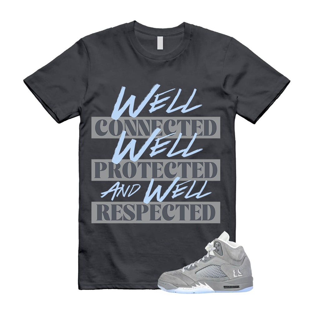 Air Jordan 5 Wolf Grey 2026 Shirt To Match Well T-Shirt, Match Sneaker Tee