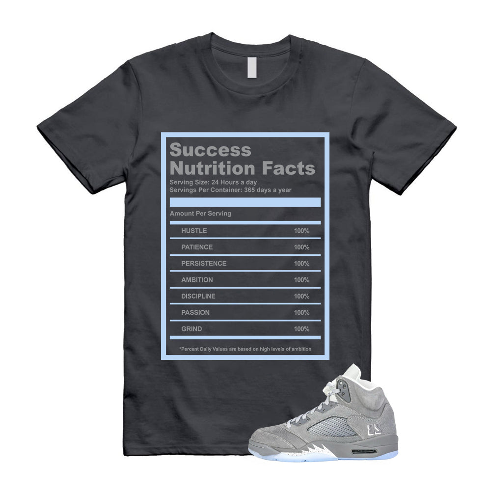 Air Jordan 5 Wolf Grey 2026 Shirt To Match Succ T-Shirt, Match Sneaker Tee