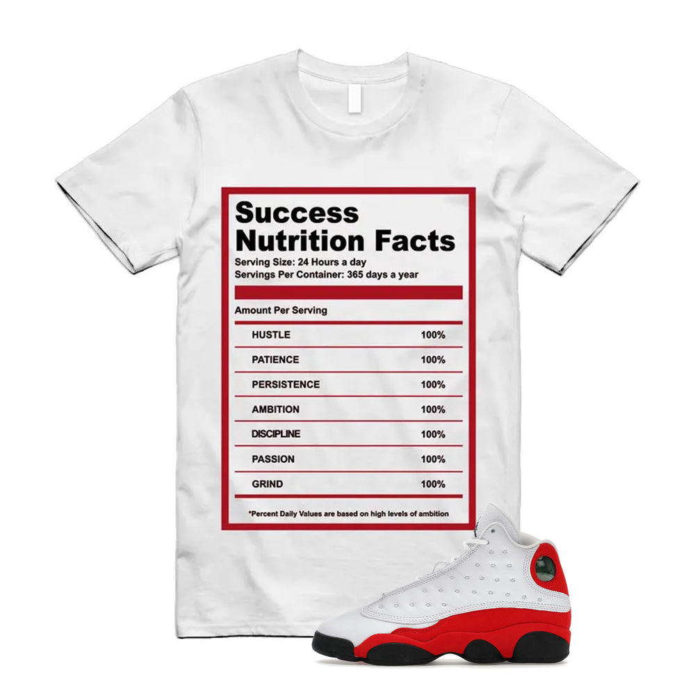 Air Jordan 13 Retro OG Chicago 2026 Shirt To Match Success T-Shirt, Match Sneaker Tee