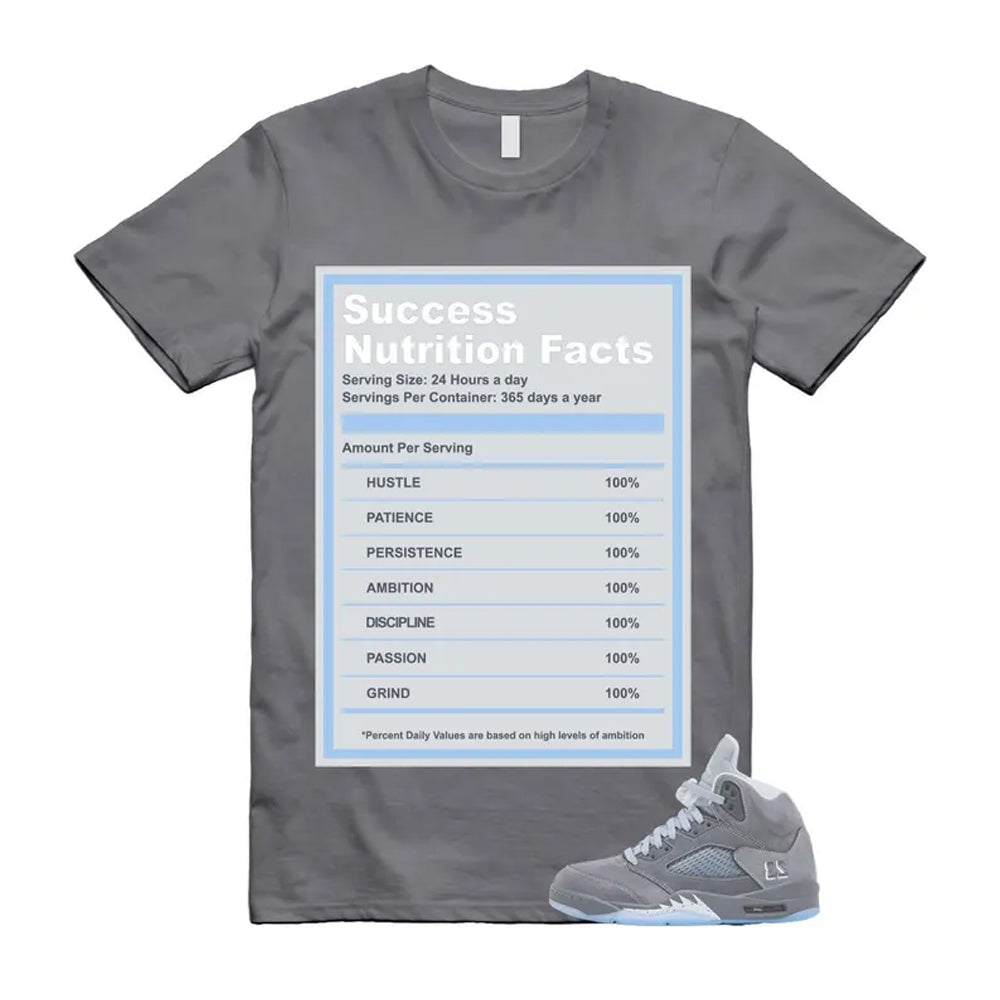 Air Jordan 5 Wolf Grey 2026 Shirt To Match Success T-Shirt, Match Sneaker Tee