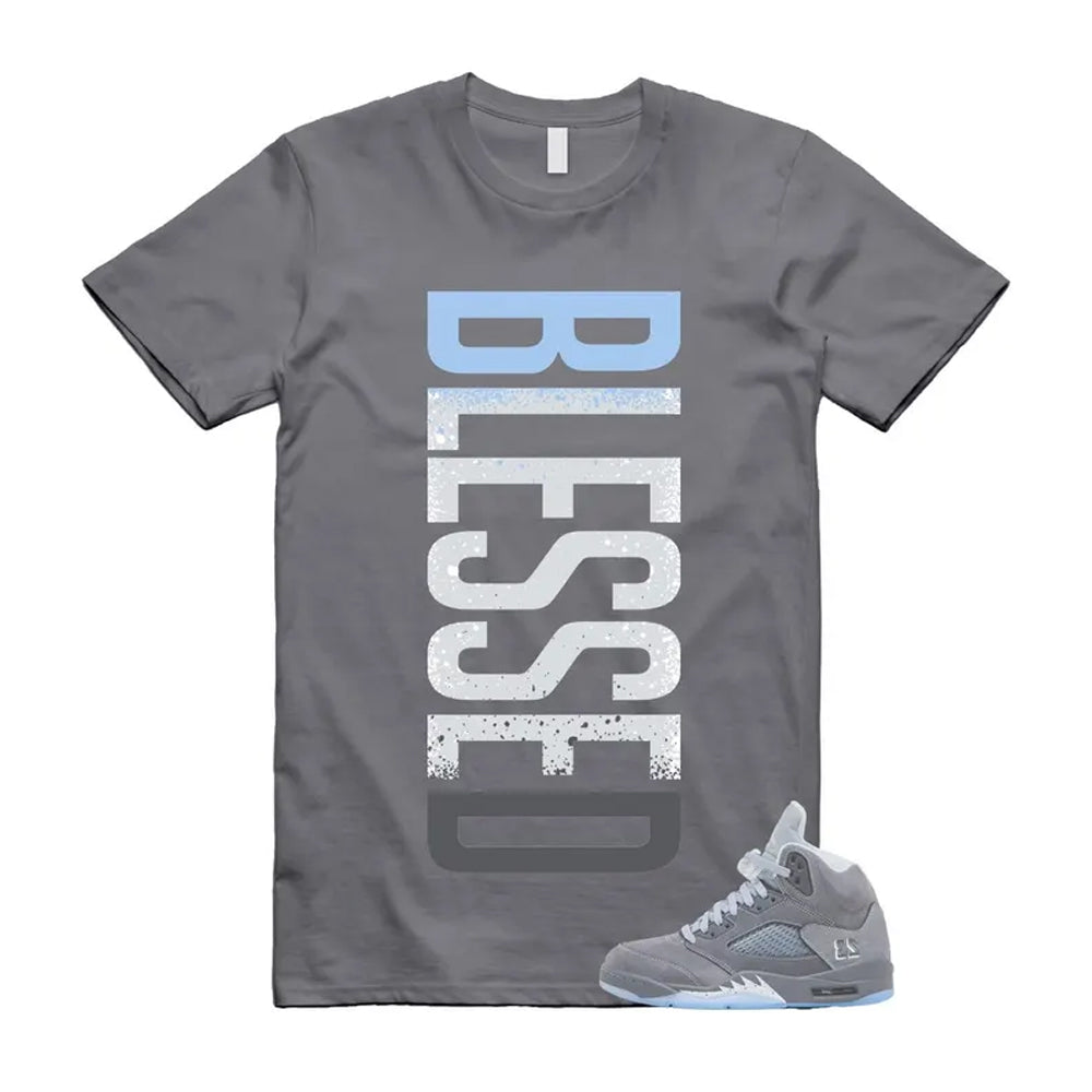 Air Jordan 5 Wolf Grey 2026 Shirt To Match Vertbls T-Shirt, Match Sneaker Tee