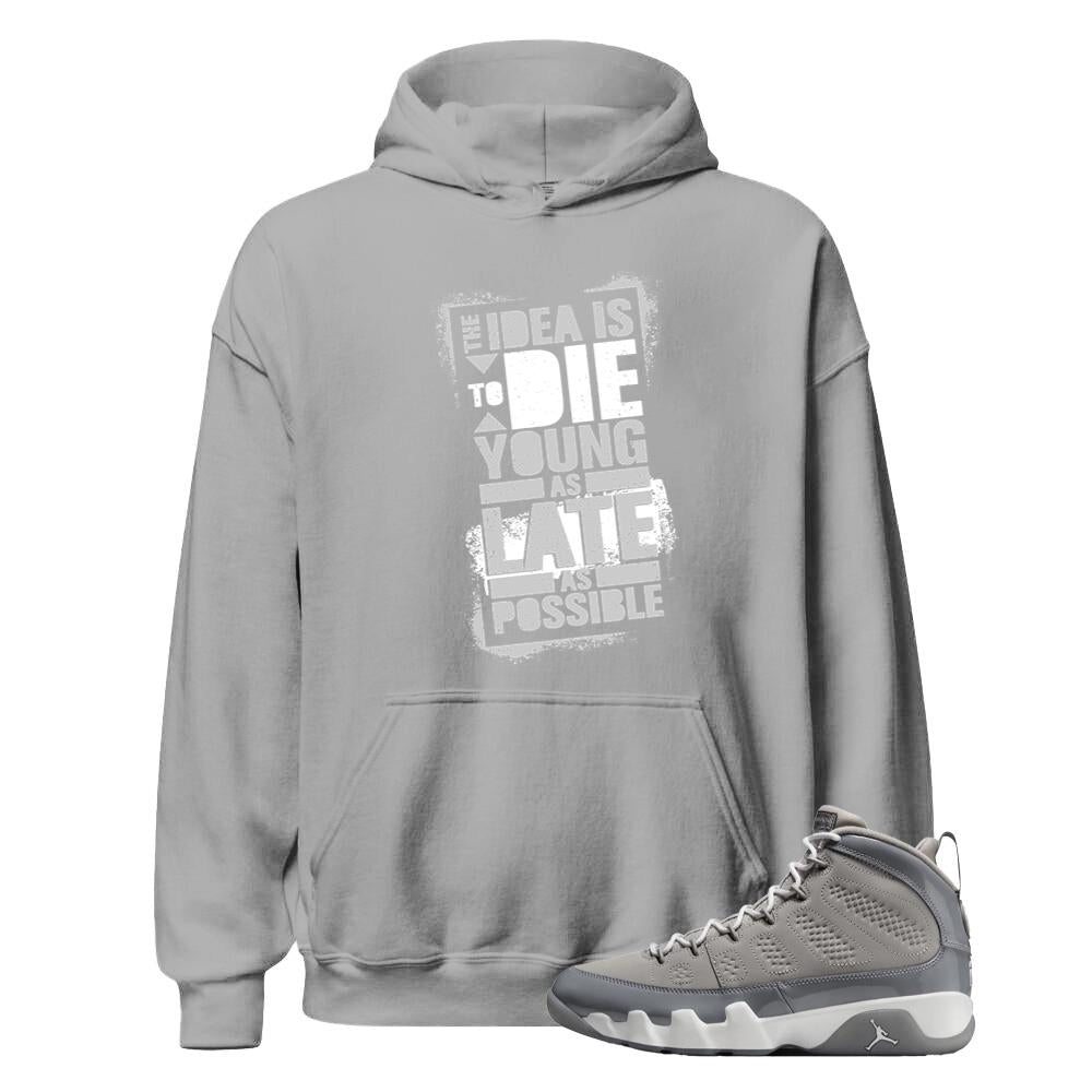 Air Jordan 9 Retro Cool Grey Shirt to Match The Idea Is To Die Young As Late As Possible Hoodie HV4794-011 Match Sneaker Tee
