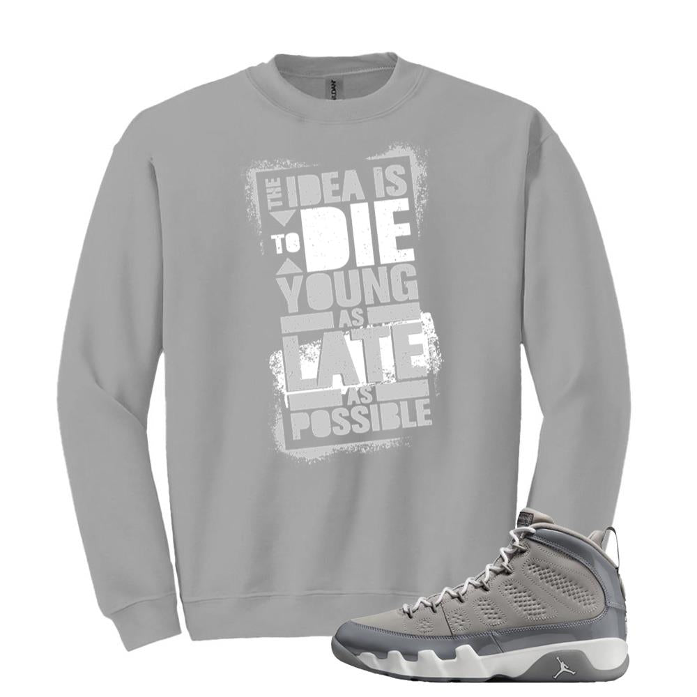 Jordan 9 Retro Cool Grey Sweatshirt to Match The Idea Is To Die Young As Late As Possible HV4794-011 Match Sneaker Tee
