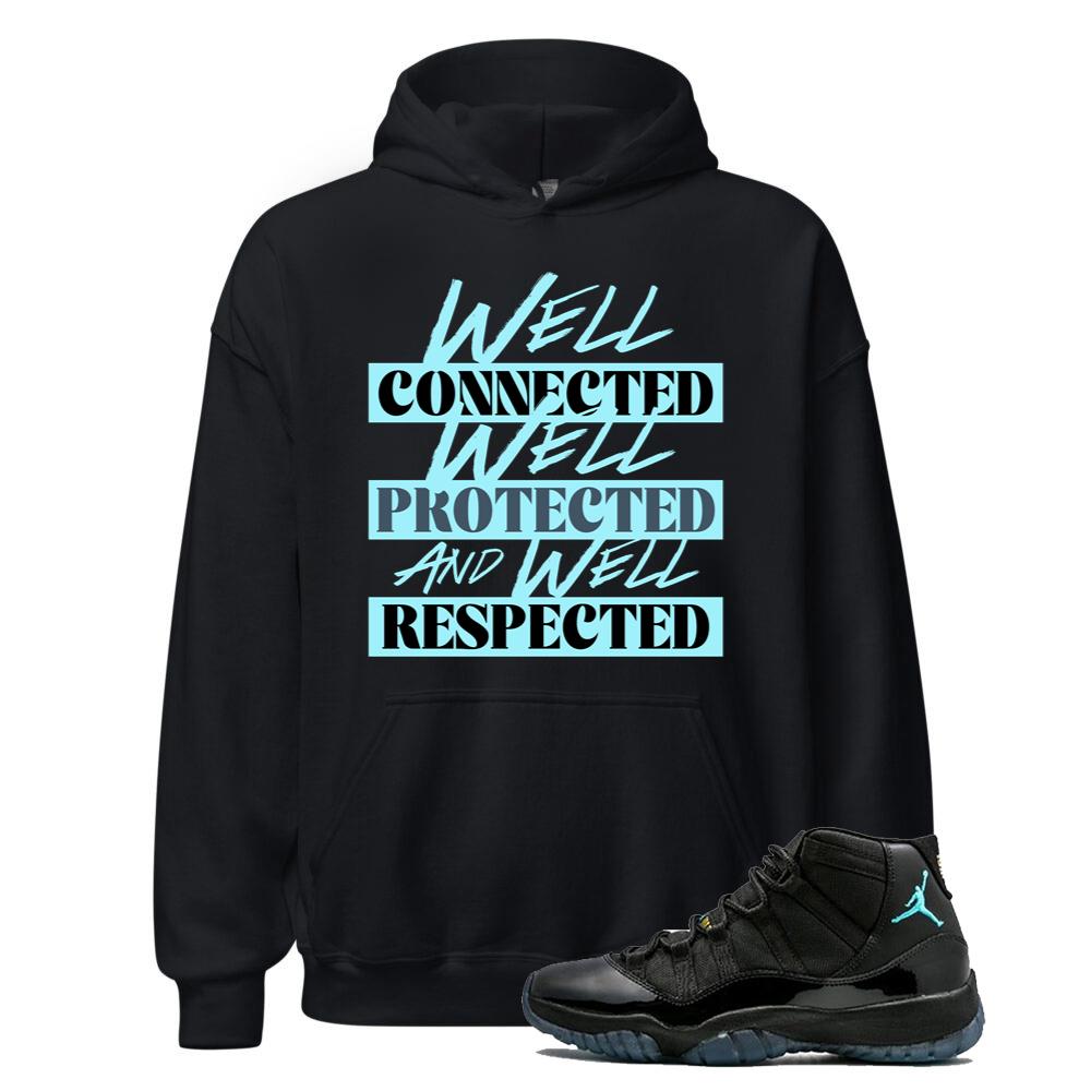 Air Jordan 11 Retro Gamma Blue Shirt to Match Well Connected Well Protected And Well Respected Hoodie 378037-006 Match Sneaker Tee