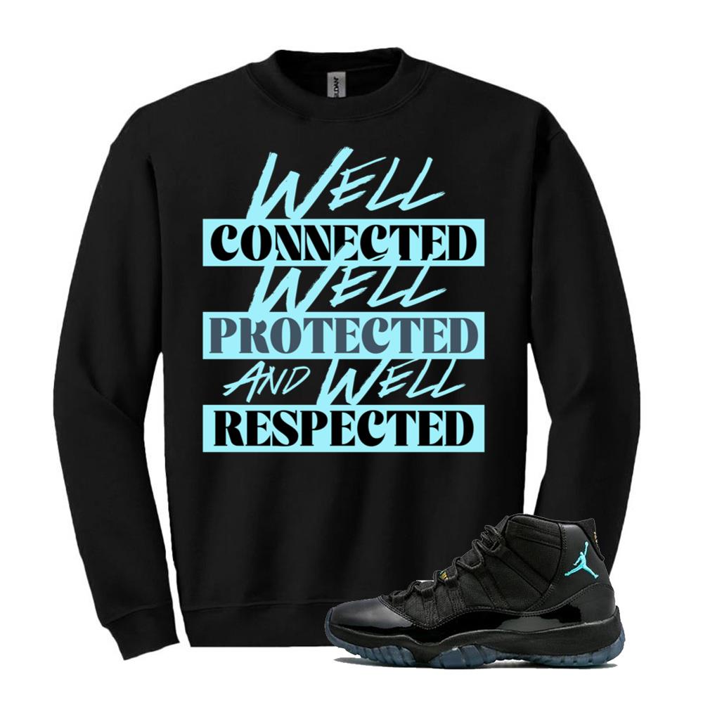 Air Jordan 11 Retro Gamma Blue Shirt to Match Well Connected Well Protected And Well Respected Sweatshirt 378037-006 Match Sneaker Tee