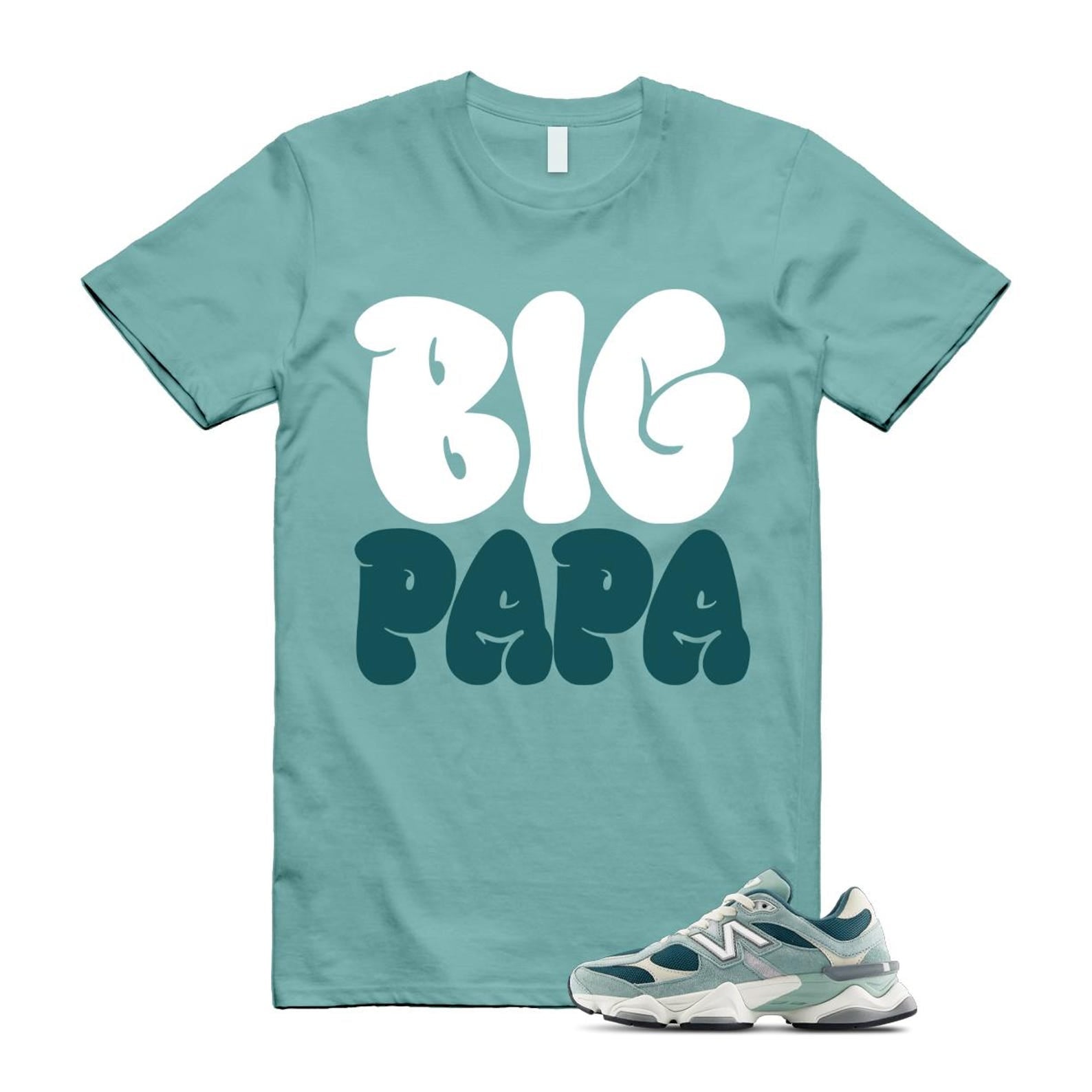 9060 Salt Marsh Green Cream Turtledove New Spruce T Shirt Match PAPA ,U9060FG T-Shirt, Sneaker Match Tee