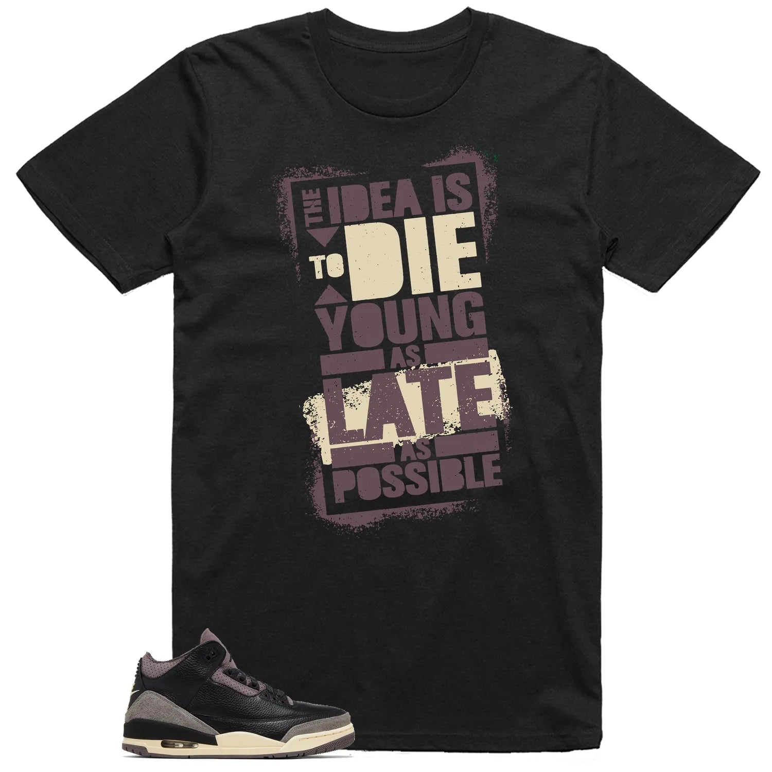 Die Young Shirt to Match Air Jordan 3 While You Were Sleeping FZ4811-001 T-Shirt, Sneaker Match Tee