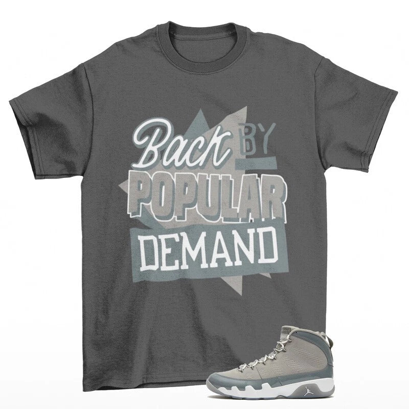 Throwback Shirt Grey to Match Jordan 9 Retro Cool Grey HV4794-011 T-Shirt, Sneaker Match Tee