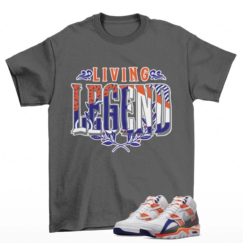 Legendary Sneaker Shirt Grey to Match Air Trainer SC High DV2212-100 T-Shirt, Sneaker Match Tee